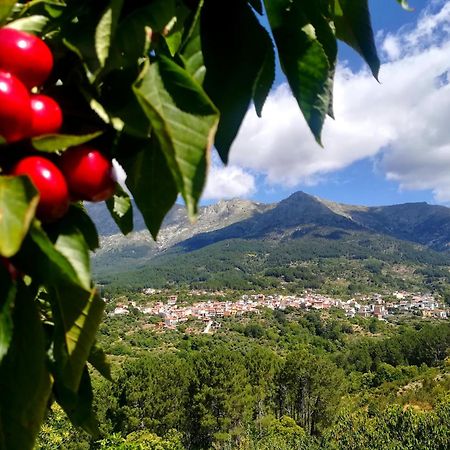 Albareilla By #Cherrygredos El Arenal  Exteriör bild