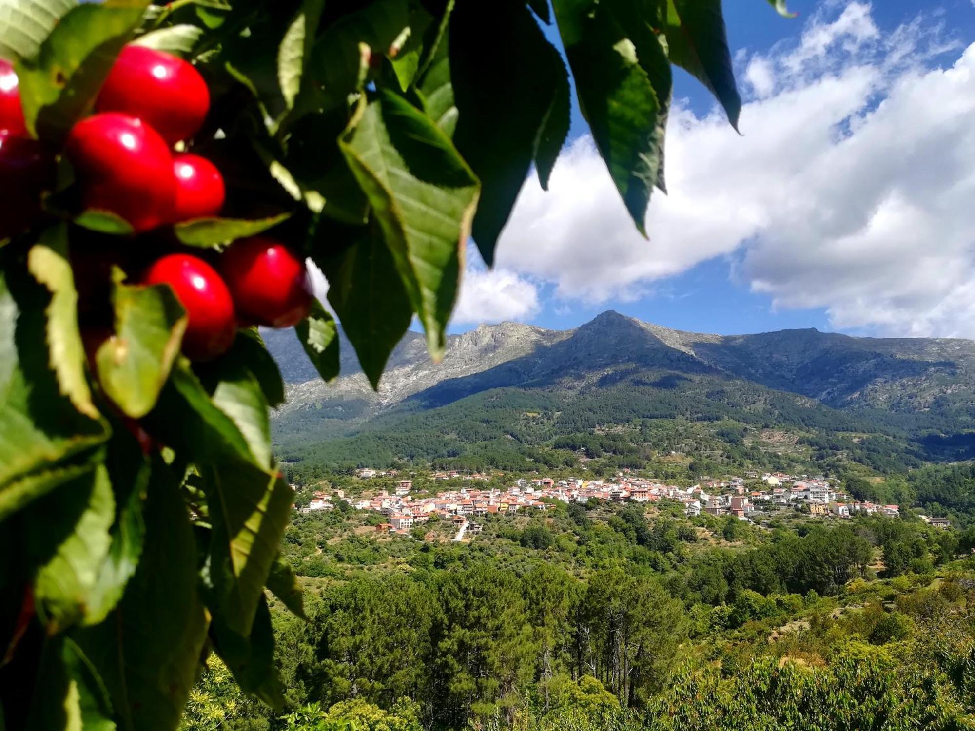 Albareilla By #Cherrygredos El Arenal  Exteriör bild