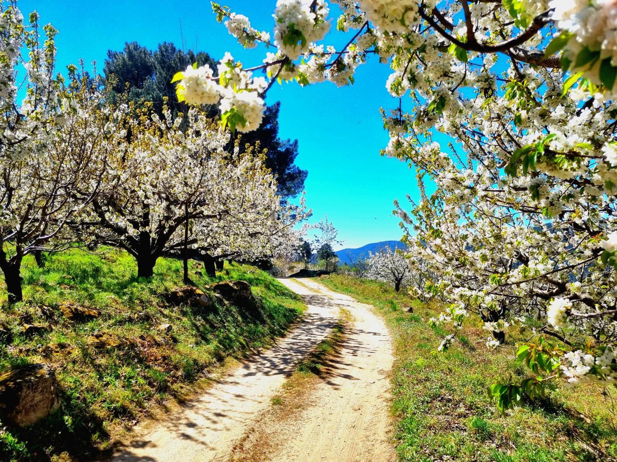Albareilla By #Cherrygredos El Arenal  Exteriör bild
