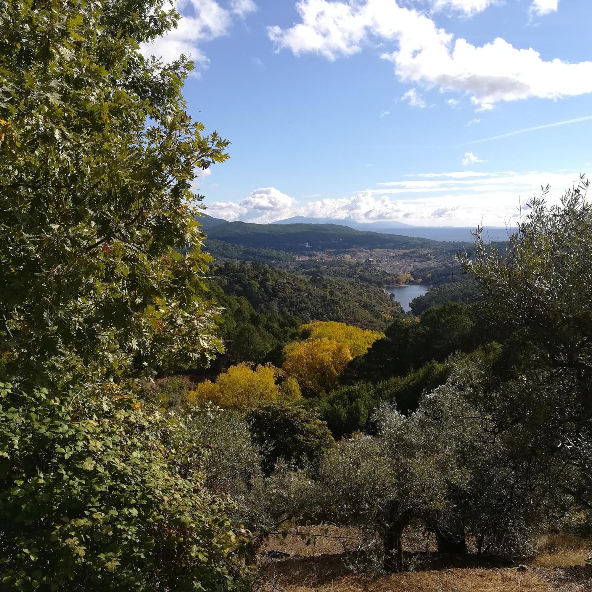 Albareilla By #Cherrygredos El Arenal  Exteriör bild