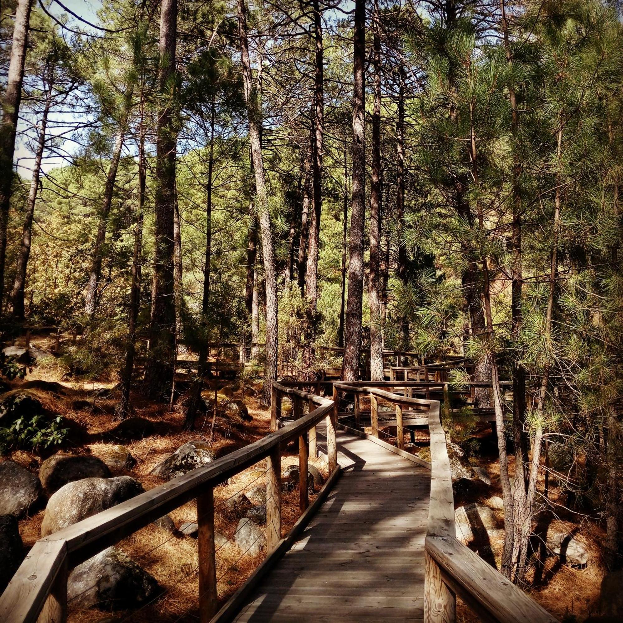 Albareilla By #Cherrygredos El Arenal  Exteriör bild