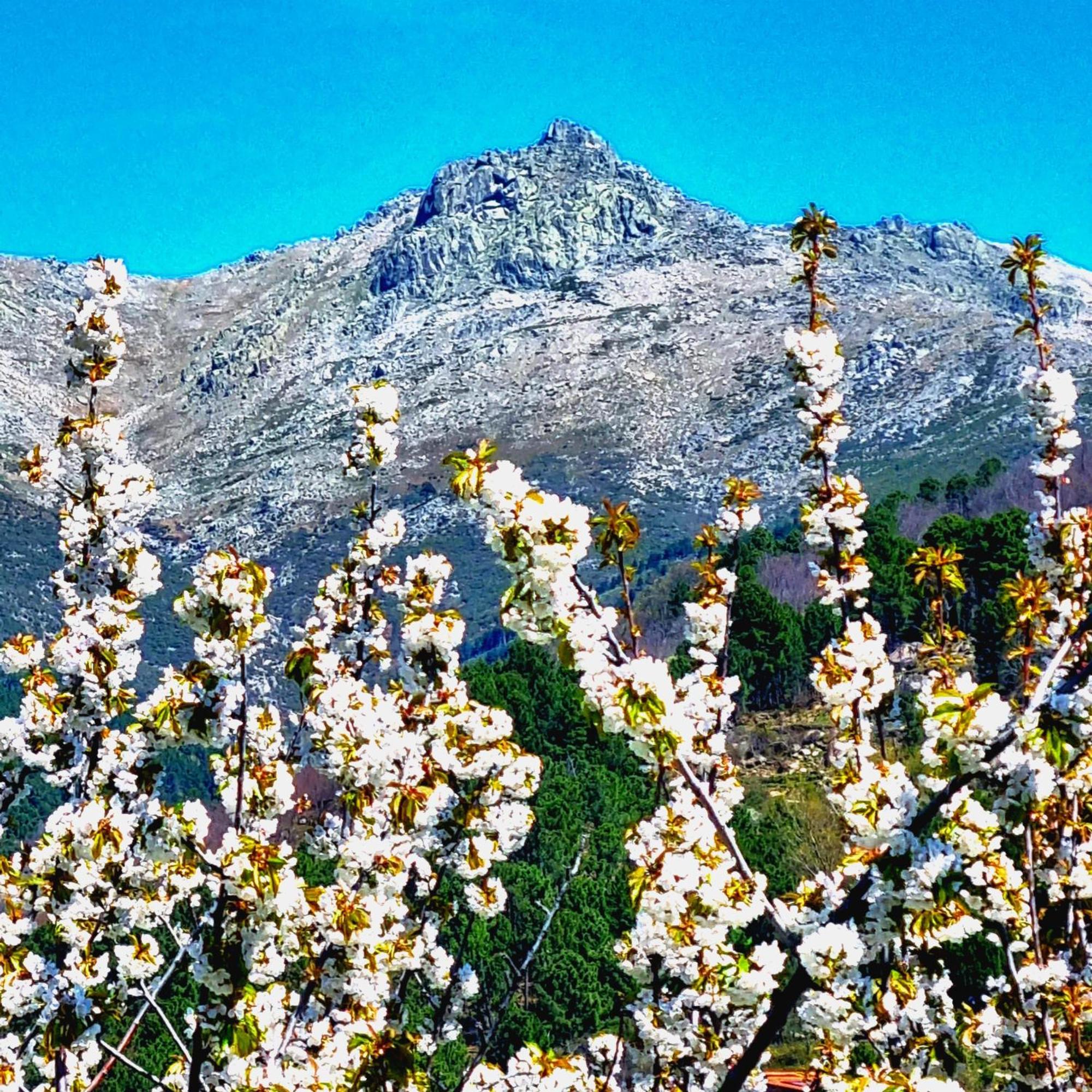 Albareilla By #Cherrygredos El Arenal  Exteriör bild