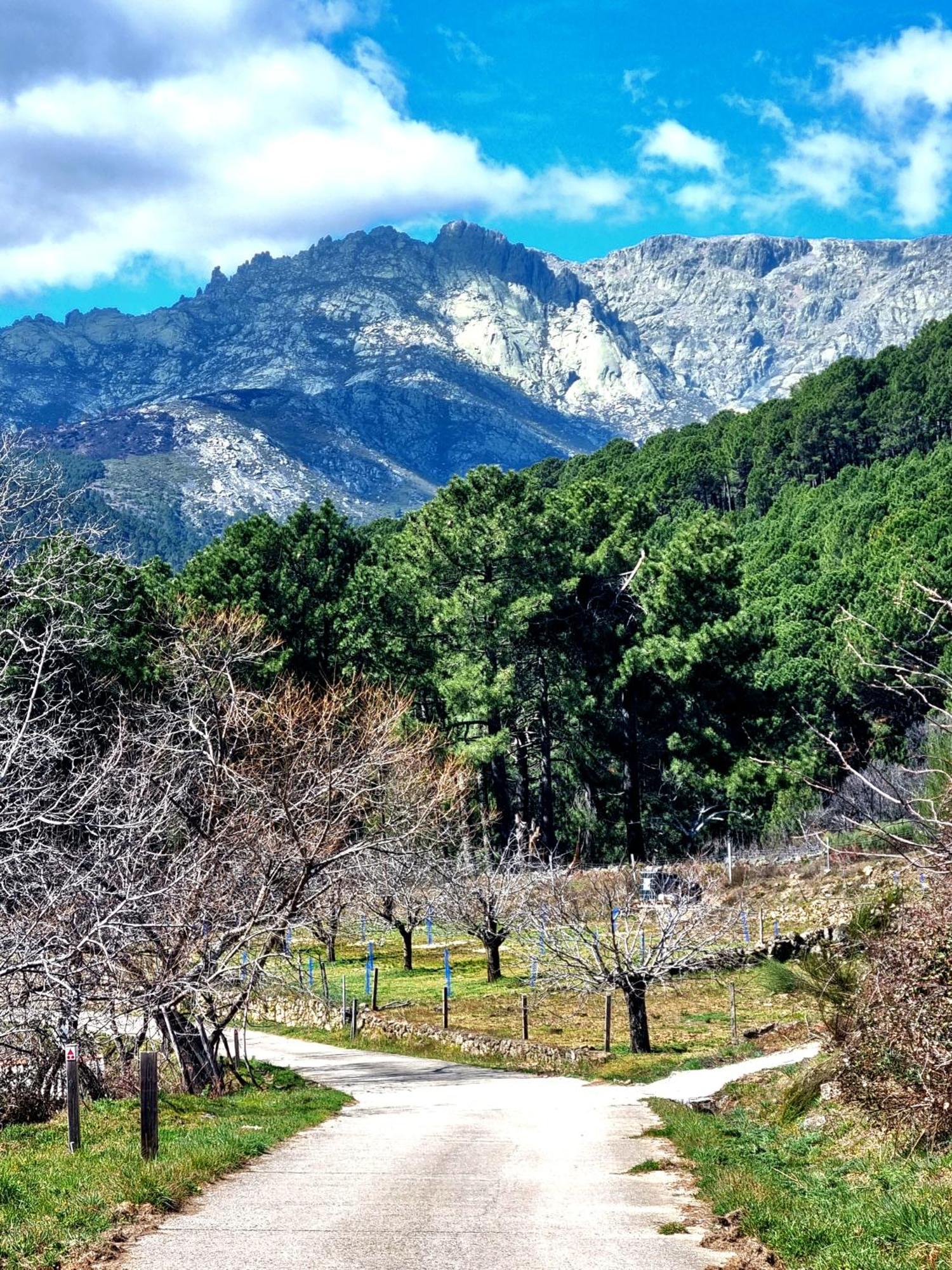 Albareilla By #Cherrygredos El Arenal  Exteriör bild