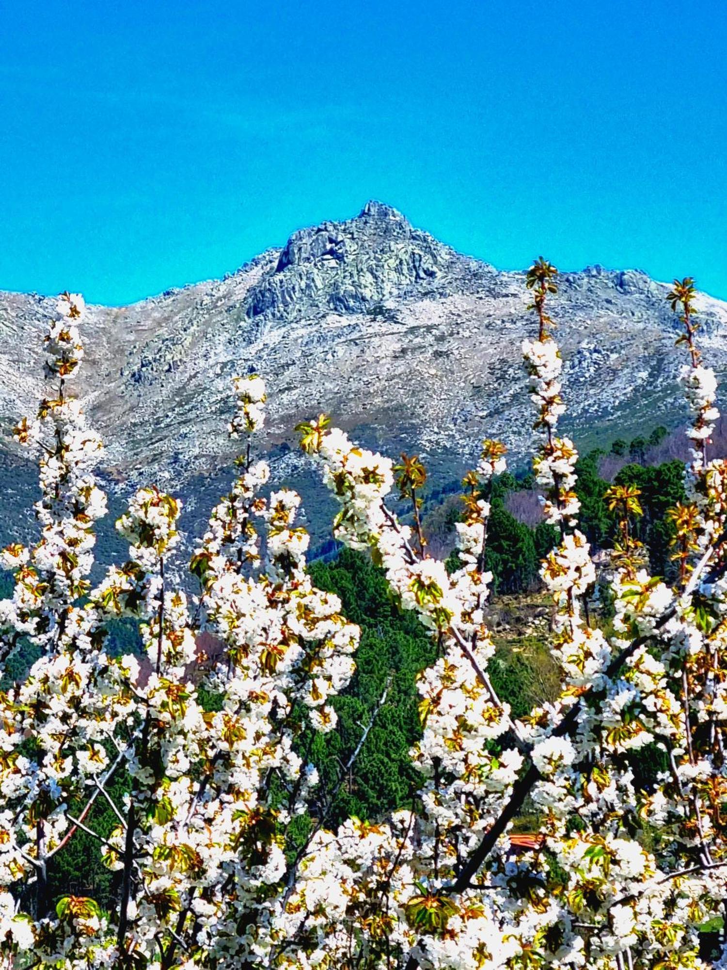 Albareilla By #Cherrygredos El Arenal  Exteriör bild