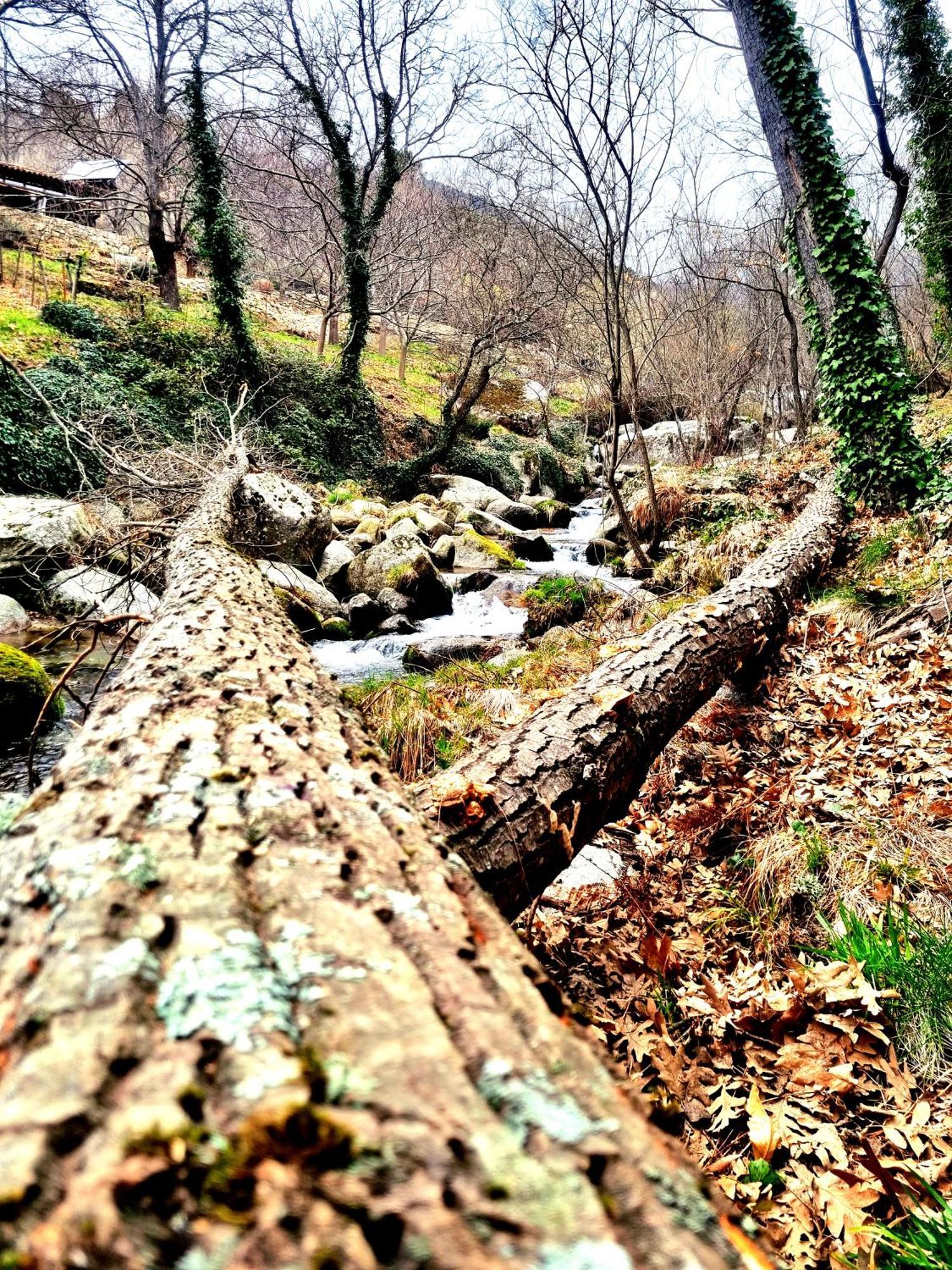 Albareilla By #Cherrygredos El Arenal  Exteriör bild