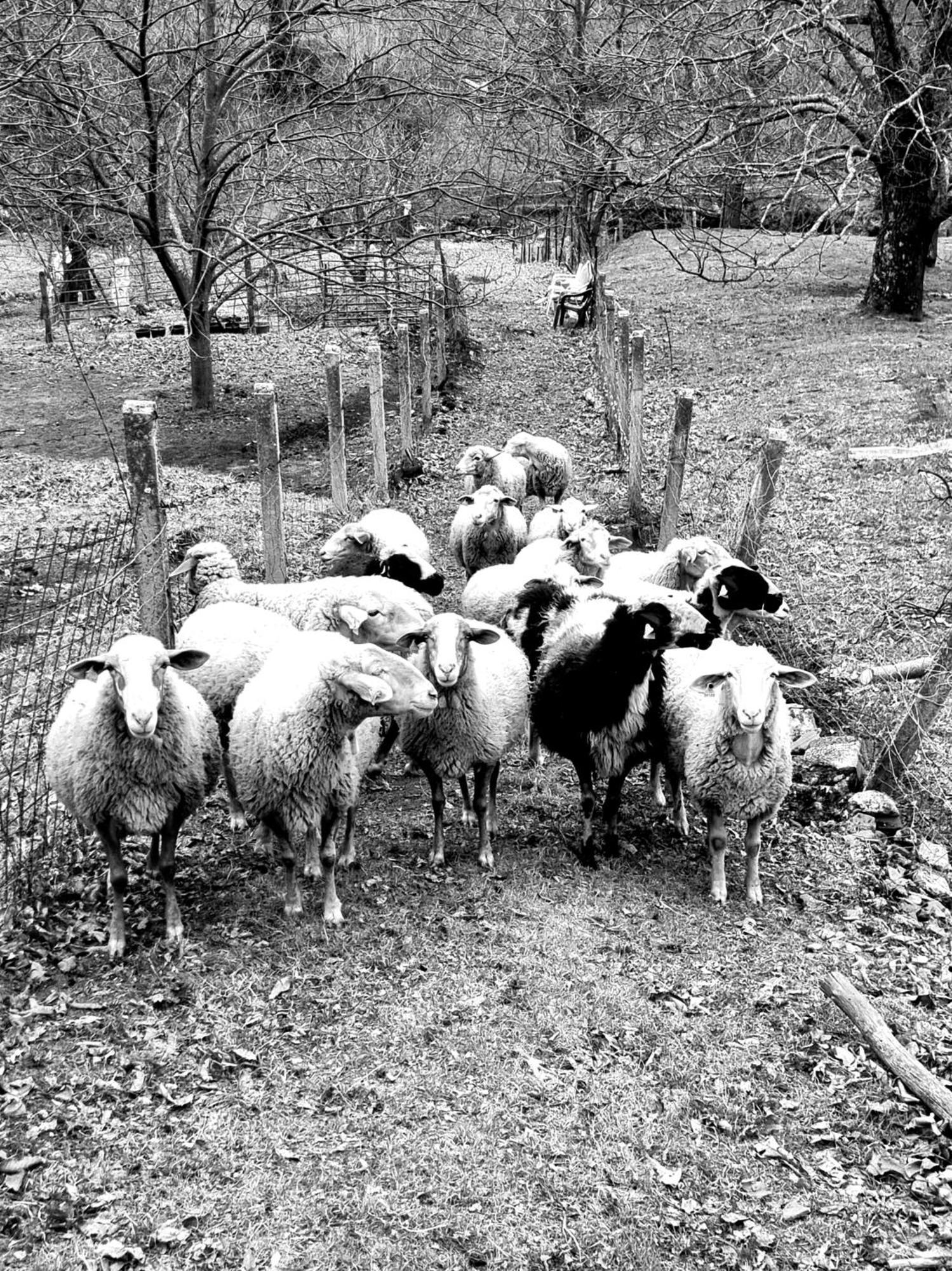 Albareilla By #Cherrygredos El Arenal  Exteriör bild