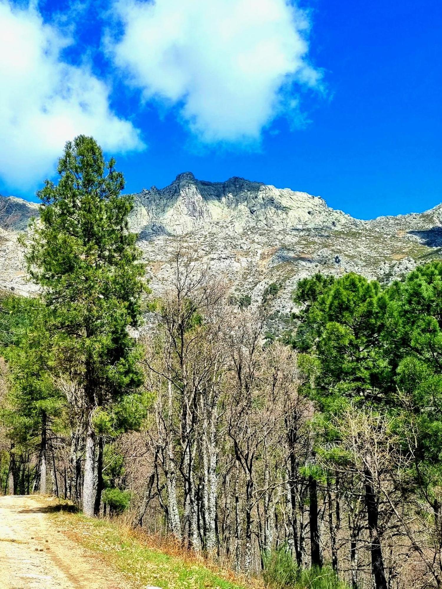 Albareilla By #Cherrygredos El Arenal  Exteriör bild